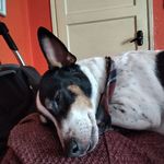 Richard Savory - @savory_richard - Instagram