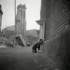 Richard Scheuerman - @richard.scheuerma4 - TikTok