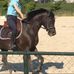 Richard Schipper - Facebook