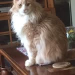 Richard Schuette - @richard.schuette.9 - Instagram