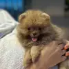 Richard’s_Life - @richardseestheworld - TikTok