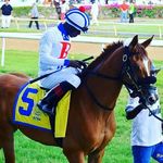 richardselman - @richardselman76 - Instagram