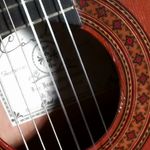 RichSeppala - @richardseppala - Instagram