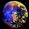 Richard Sergent - @richard.sergent - TikTok