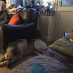 Richard Sharp - @richard.sharp.35380 - Instagram