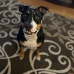 Richard Shepard - @rshepard4035 - Instagram