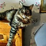 Richard Shingleton - @shingletonrichard - Instagram