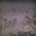 Richard Shrader - @mcvindean - Instagram