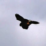 Richard Sidney - @richardsidney58 - Instagram