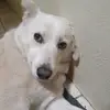 Richard Siebert - @richardsiebert2 - TikTok