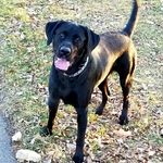 Richard Siewert - @rjsiewert2448 - Instagram