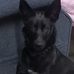 Richard Silvey - Facebook