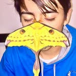 Richard Nakamura - @richards_inverts - Instagram