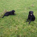 Loom Rich - @richard.sinclair.3762 - Instagram