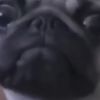 RICHARD_SING_ - @richard_sing_ - TikTok