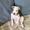 Richard Slover - @richard.slover7 - TikTok