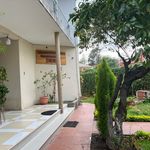 Richard Solano Pinto - @richardsolanopinto - Instagram