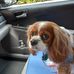 Richard Silagyi - Facebook