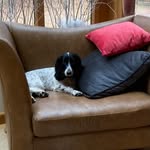 Judith Richardson - @solwayjud - Instagram