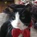Richard Patti Spatz - Facebook