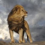 Richard Spoors III - @richard_spoors_iii - Instagram