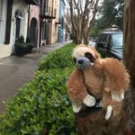 Richard Sprinkles - @richardsprinkles - Instagram