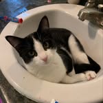 Sprinkles Richardson - @sprinklesrichardson - Instagram