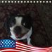 Richard Squeo - Facebook