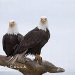 Richard Stackhouse - @eagleswingsi4031 - Instagram