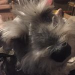 Richard Stampley - @stampleyrichard - Instagram