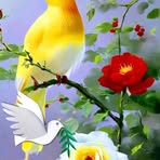 Richard Stanford - Facebook