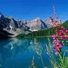 Richard Stankovick - @richardstankovick - TikTok