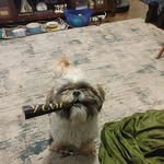 Richard St Clair - @richard.stclair.0523 - Instagram