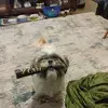 richardstclair54 - @richard.st.clair - TikTok