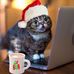 Richard Leach-Steffens - Facebook