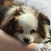 Richard Stenberg - Facebook