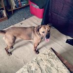 Richard Sterba - @sterbarichard - Instagram