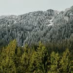 Richard Sterner - @richard_sterner_ - Instagram
