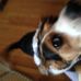 Richard Stillson - Facebook