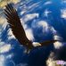 Rick Stine - Facebook