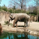 Richard Stiverson - @richardstiverson - Instagram