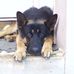Richard Storti - Facebook