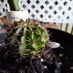 Richard Strachan - @richard.strachan5000 - Instagram