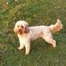 Richard Stradling - Facebook