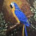Richard Strode - Facebook