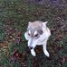Richard Strohman - Facebook