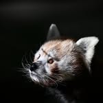 Richard Suchý - @suchyrichard - Instagram