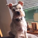 Richard taber - @richardtaber409 - Instagram