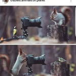 Richard Tapia AVILES - @rillepille_1 - Instagram