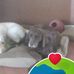Richard Tatum - Facebook